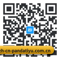 iPhone 专版 二维码